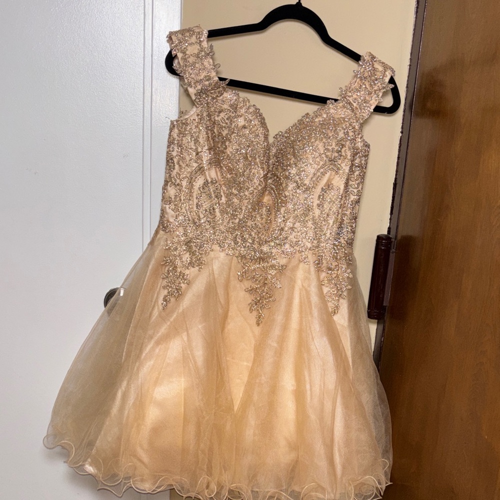 Women Sleeveless Glitter Appliqué Tulle Dress in Champagne